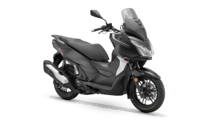 PRECIO 250 MAXİ SCOOTER